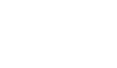 cropped munoz salas 1.png